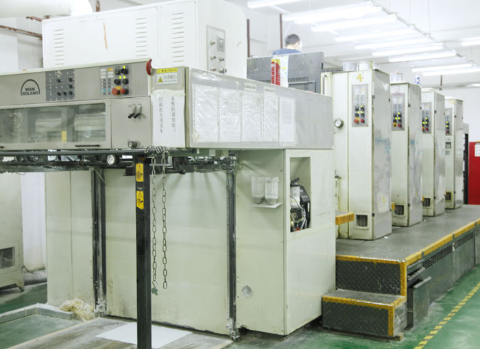 Roland Printing Machine
